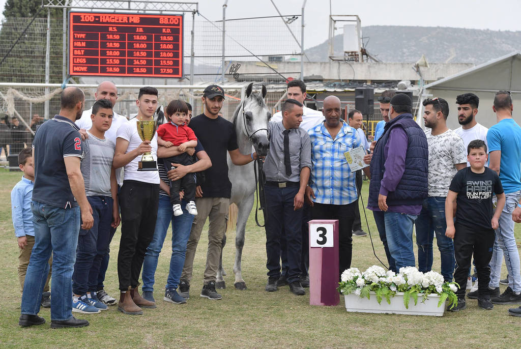 Fillies 3 Years: Lujina