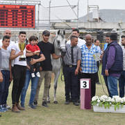 Fillies 3 Years: Lujina