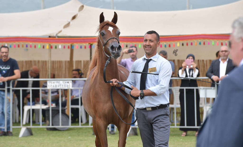 Fillies 2 Years: Gaida FM