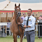 Fillies 2 Years: Gaida FM