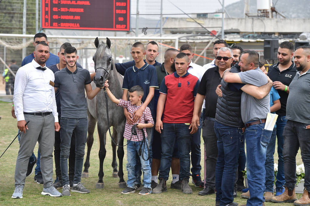 Fillies 2 Years: Set - Akaber