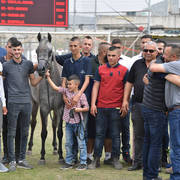 Fillies 2 Years: Set - Akaber