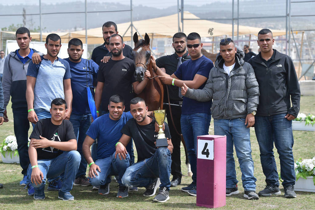 Yearling Colt: Kais Al Amal