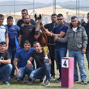 Yearling Colt: Kais Al Amal