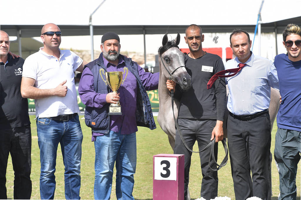 Yearling Filly: Wsal Al Amal