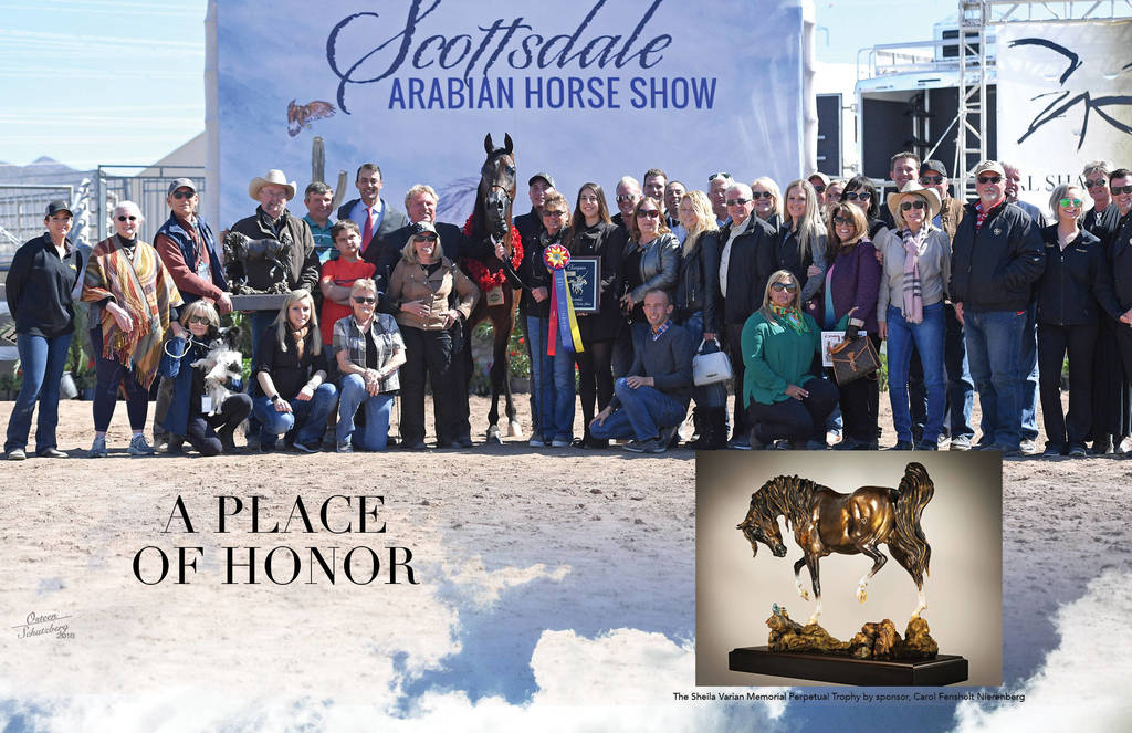 2018 Scottsdale Arabian Horse Show Photo Gallery