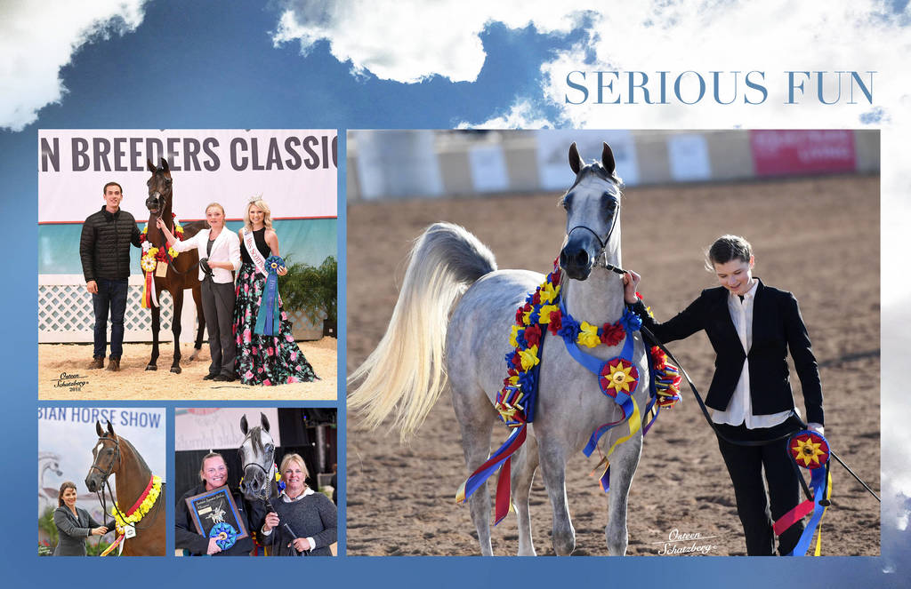 2018 Scottsdale Arabian Horse Show Photo Gallery