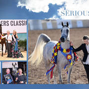 2018 Scottsdale Arabian Horse Show Photo Gallery