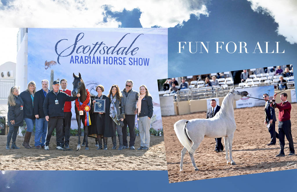 2018 Scottsdale Arabian Horse Show Photo Gallery