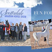 2018 Scottsdale Arabian Horse Show Photo Gallery