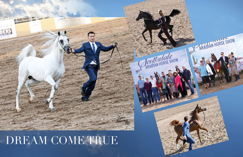 2018 Scottsdale Arabian Horse Show Photo Gallery