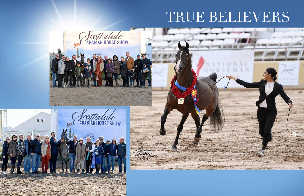 2018 Scottsdale Arabian Horse Show Photo Gallery