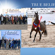 2018 Scottsdale Arabian Horse Show Photo Gallery