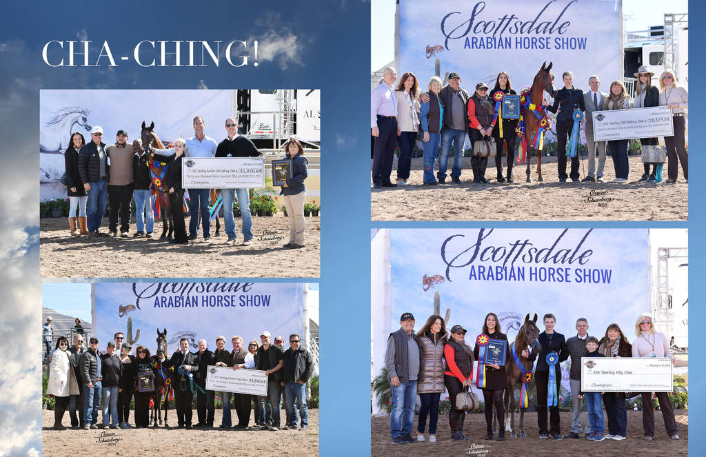 2018 Scottsdale Arabian Horse Show Photo Gallery