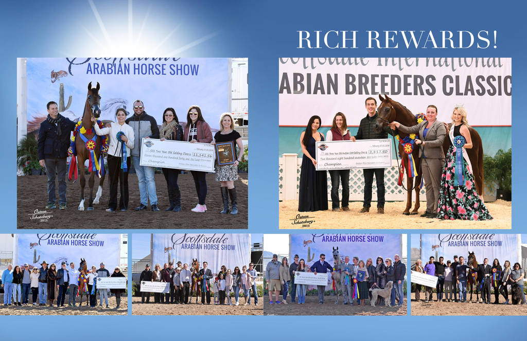 2018 Scottsdale Arabian Horse Show Photo Gallery