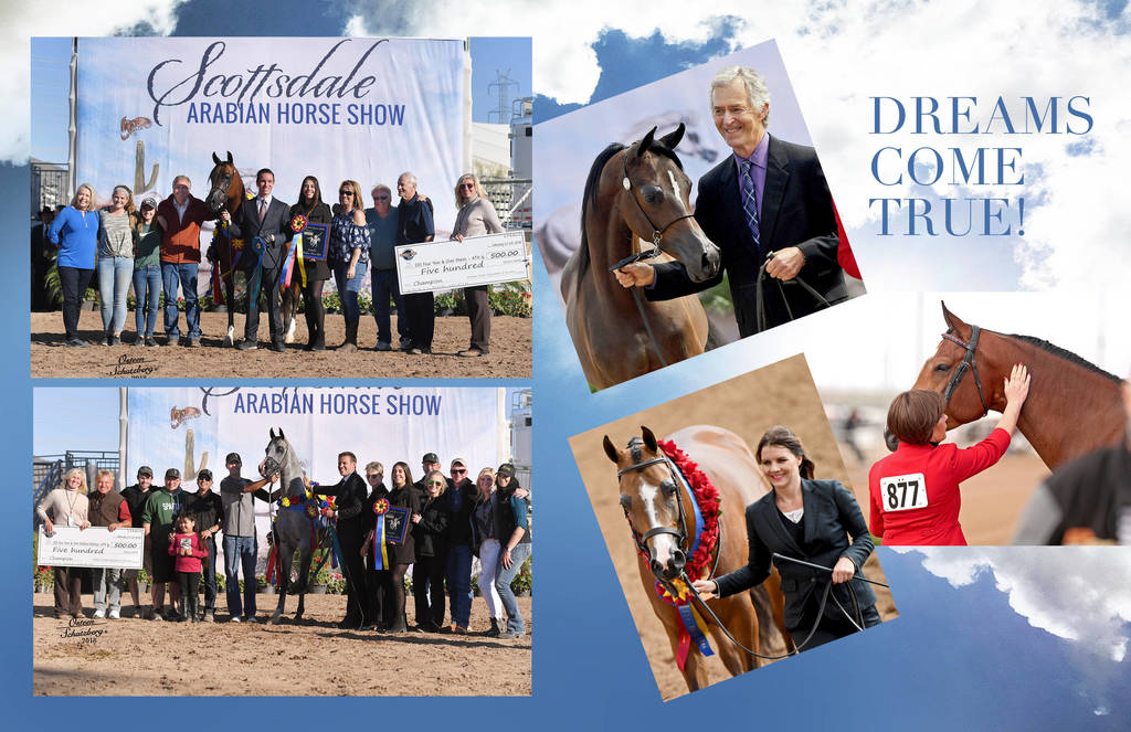 2018 Scottsdale Arabian Horse Show Photo Gallery