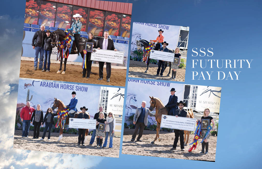 2018 Scottsdale Arabian Horse Show Photo Gallery