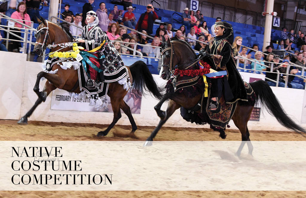 2018 Scottsdale Arabian Horse Show Photo Gallery