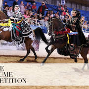 2018 Scottsdale Arabian Horse Show Photo Gallery