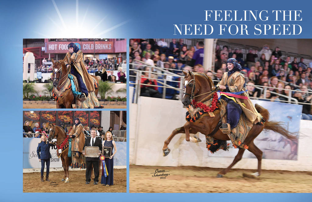 2018 Scottsdale Arabian Horse Show Photo Gallery