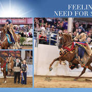 2018 Scottsdale Arabian Horse Show Photo Gallery