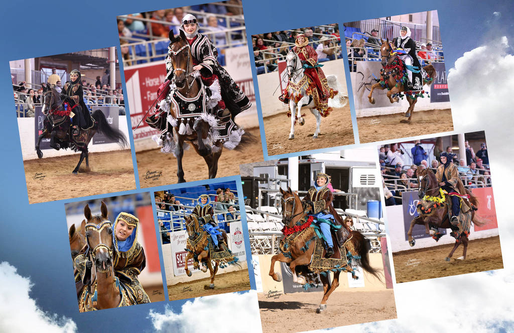 2018 Scottsdale Arabian Horse Show Photo Gallery