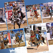 2018 Scottsdale Arabian Horse Show Photo Gallery