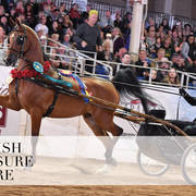 2018 Scottsdale Arabian Horse Show Photo Gallery