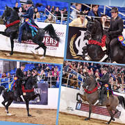 2018 Scottsdale Arabian Horse Show Photo Gallery