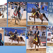 2018 Scottsdale Arabian Horse Show Photo Gallery
