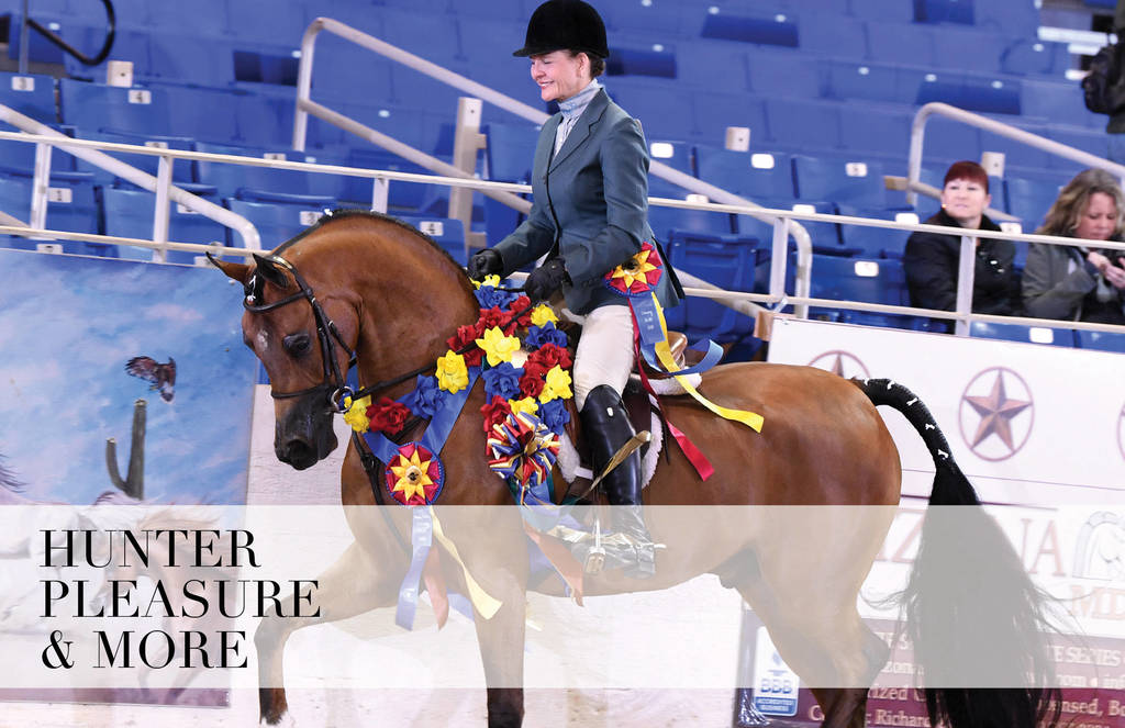 2018 Scottsdale Arabian Horse Show Photo Gallery