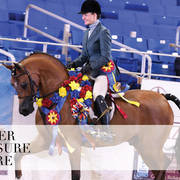 2018 Scottsdale Arabian Horse Show Photo Gallery