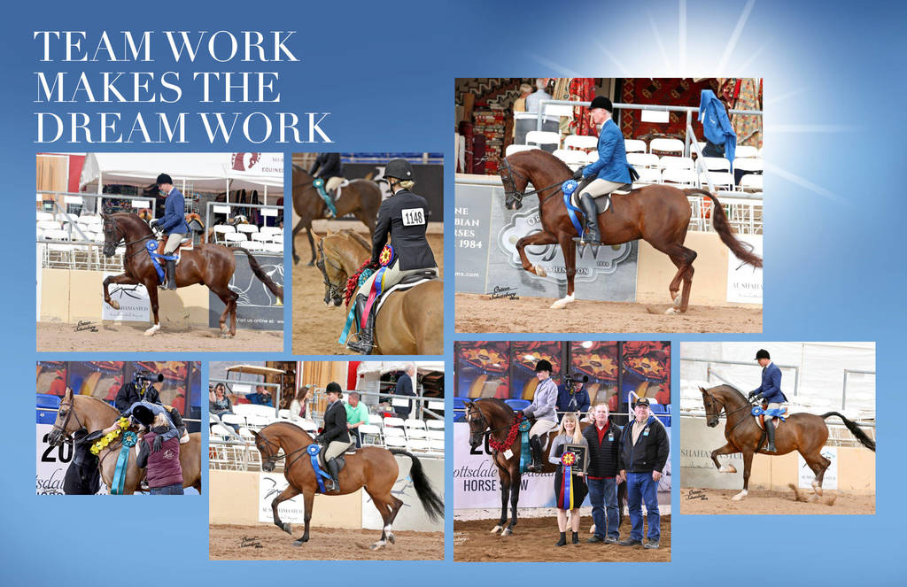 2018 Scottsdale Arabian Horse Show Photo Gallery