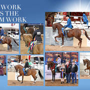 2018 Scottsdale Arabian Horse Show Photo Gallery