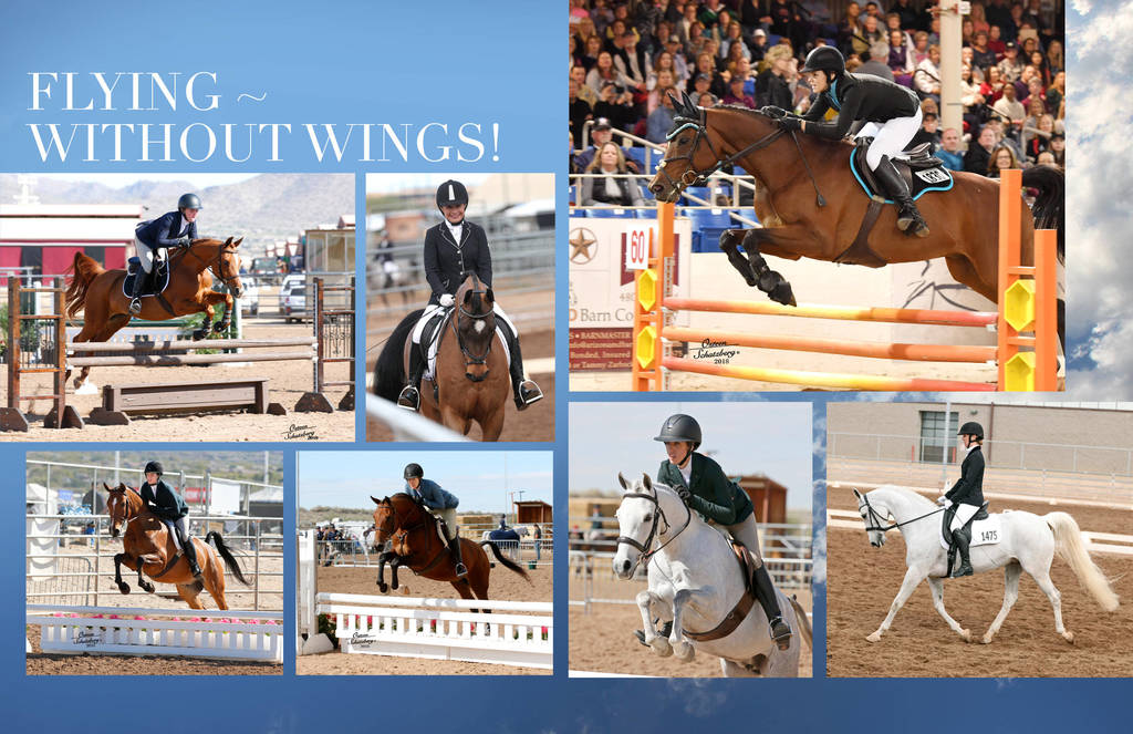 2018 Scottsdale Arabian Horse Show Photo Gallery