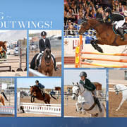 2018 Scottsdale Arabian Horse Show Photo Gallery