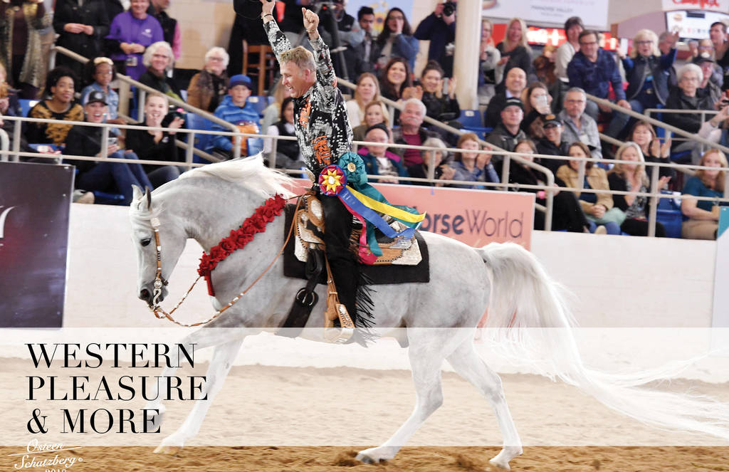 2018 Scottsdale Arabian Horse Show Photo Gallery