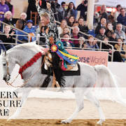 2018 Scottsdale Arabian Horse Show Photo Gallery