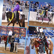 2018 Scottsdale Arabian Horse Show Photo Gallery