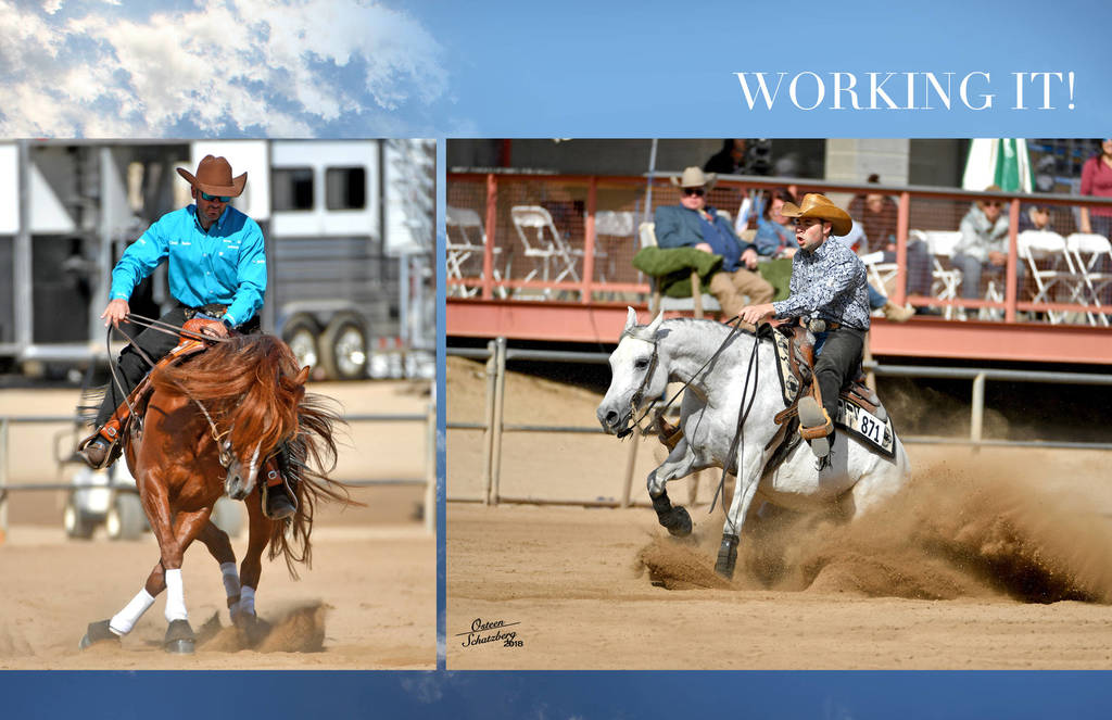 2018 Scottsdale Arabian Horse Show Photo Gallery
