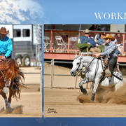 2018 Scottsdale Arabian Horse Show Photo Gallery