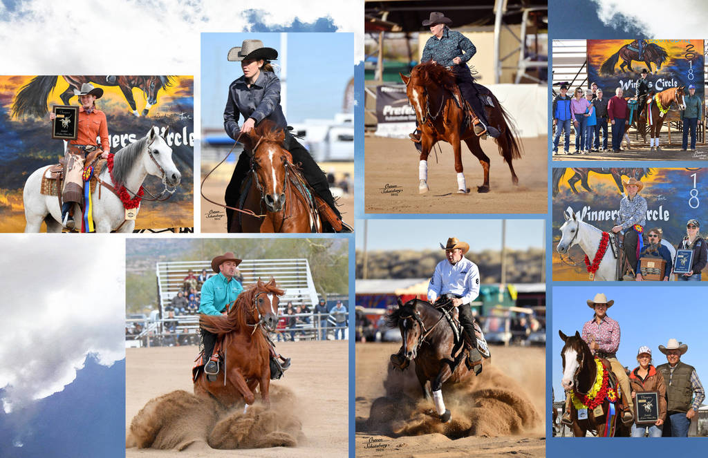 2018 Scottsdale Arabian Horse Show Photo Gallery