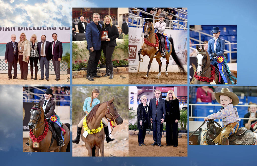 2018 Scottsdale Arabian Horse Show Photo Gallery