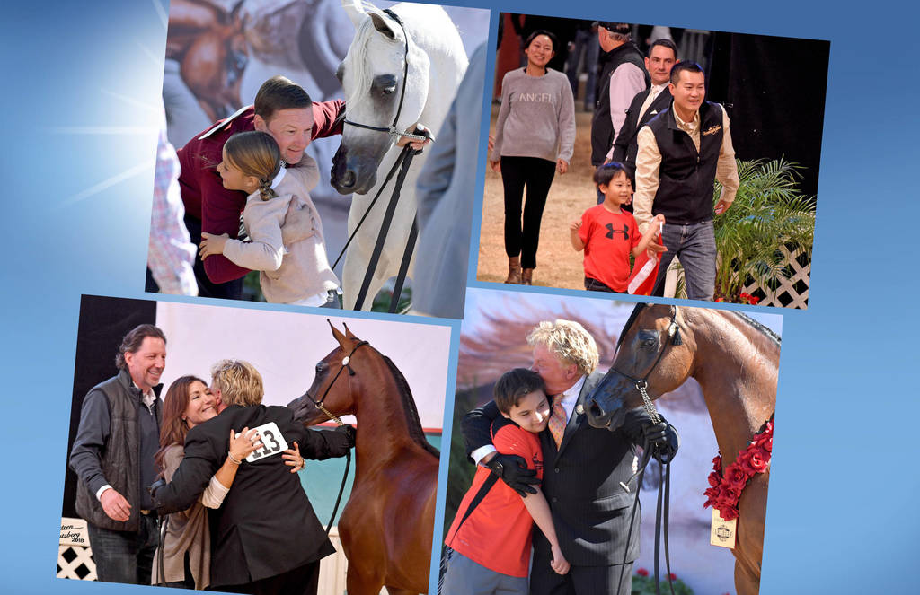 2018 Scottsdale Arabian Horse Show Photo Gallery