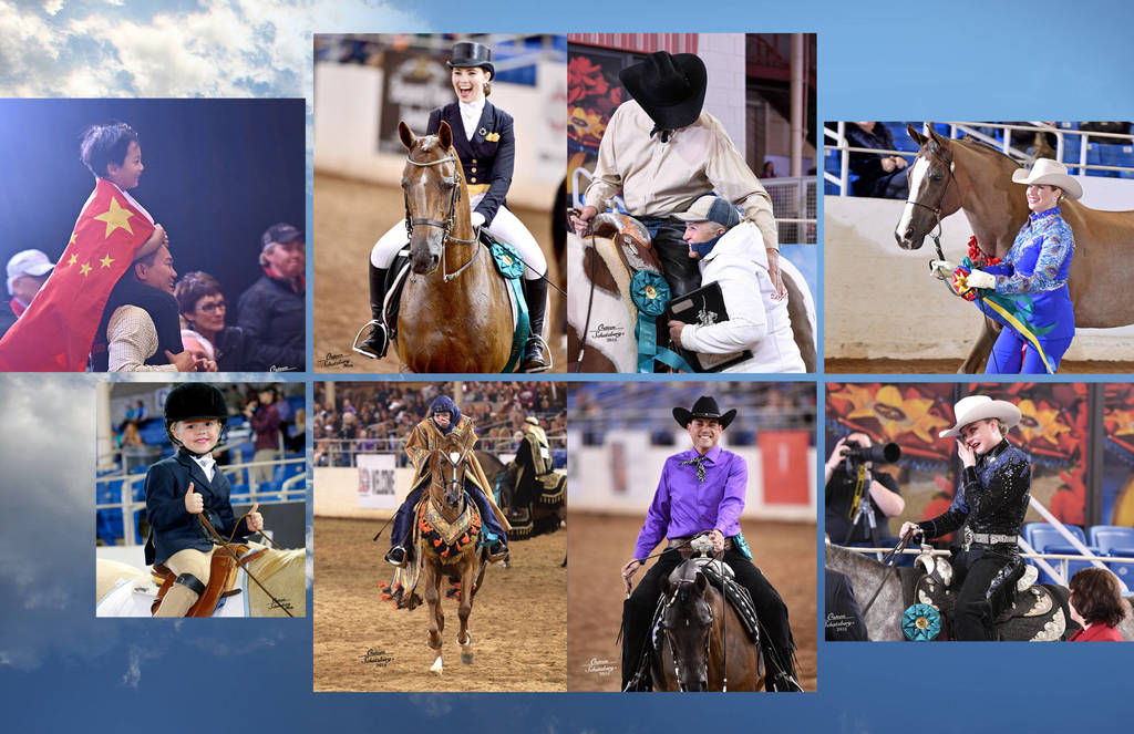 2018 Scottsdale Arabian Horse Show Photo Gallery