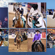 2018 Scottsdale Arabian Horse Show Photo Gallery