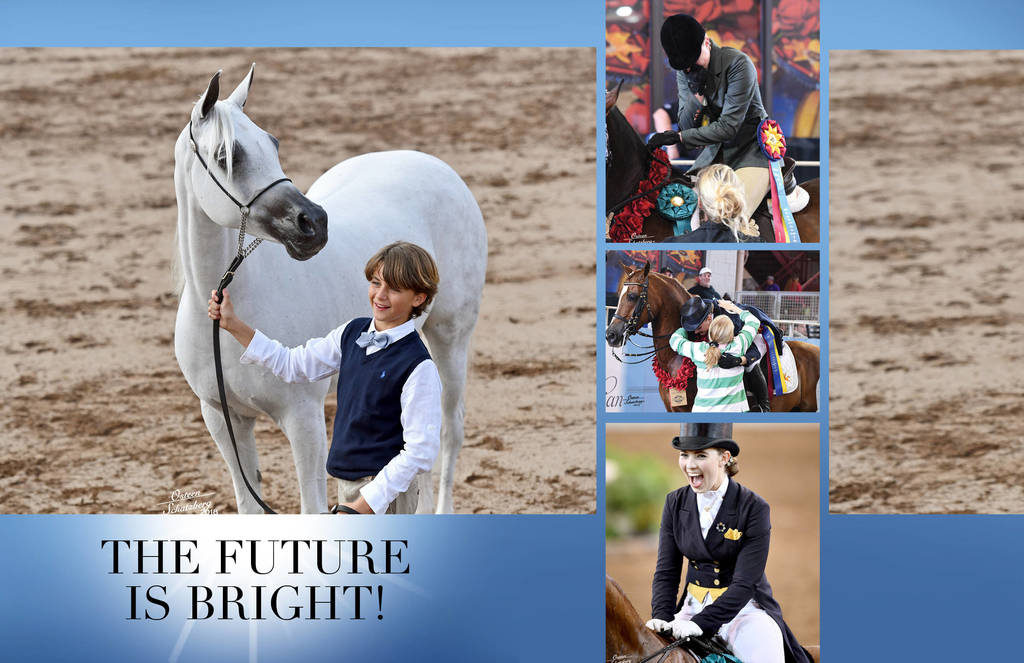2018 Scottsdale Arabian Horse Show Photo Gallery