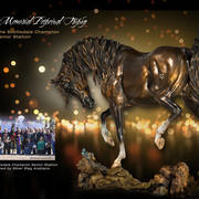 2018 Scottsdale Arabian Horse Show Photo Gallery