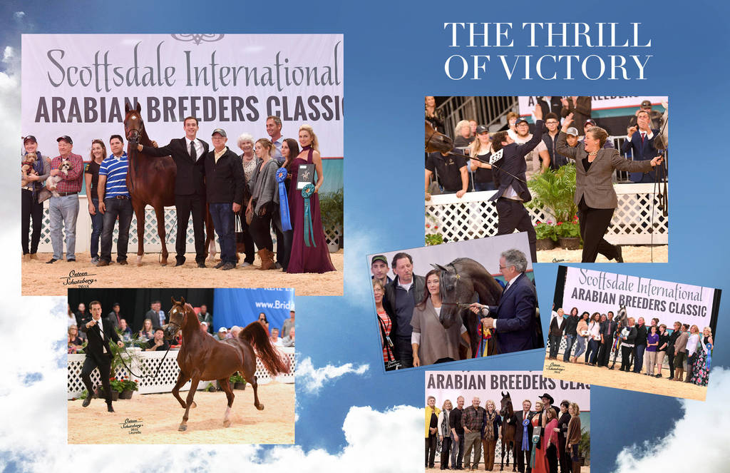 2018 Scottsdale Arabian Horse Show Photo Gallery