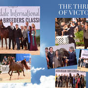 2018 Scottsdale Arabian Horse Show Photo Gallery